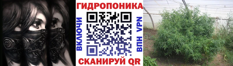 Конопля MAZAR Горбатов